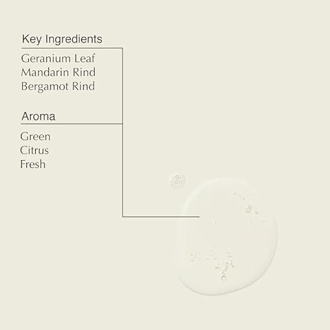 Aesop غسول يد بدون شطف من أوراق الجيرانيوم | 500 مل/16.9 أونصة سائلة | خالي من البارابين، خالي من القسوة ونباتي - Image 3